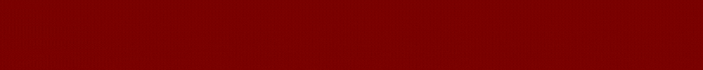 Banner 1